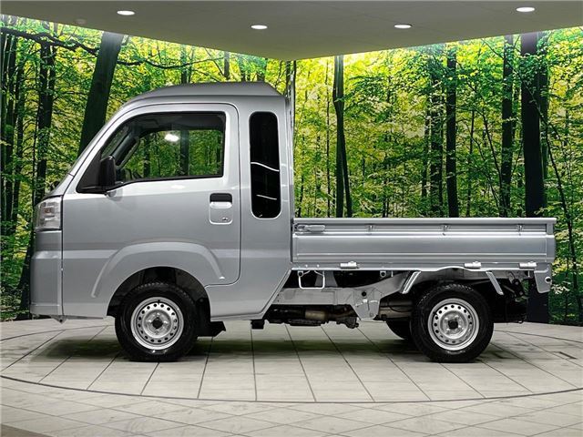 Daihatsu HIJET TRUCK 2024 6325023-8