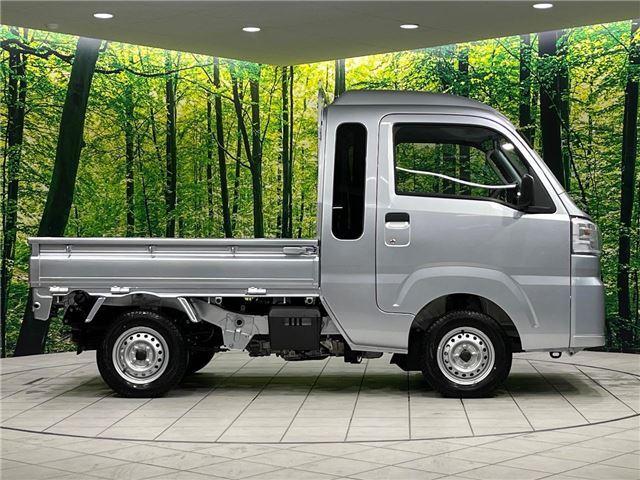 Daihatsu HIJET TRUCK 2024 6325023-9