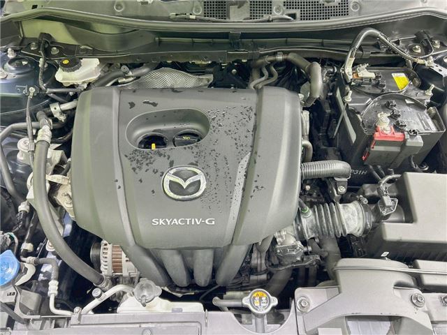 Mazda MAZDA2 2019 6370866-4