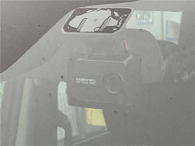 Suzuki SOLIO BANDIT 2019 6357271-6