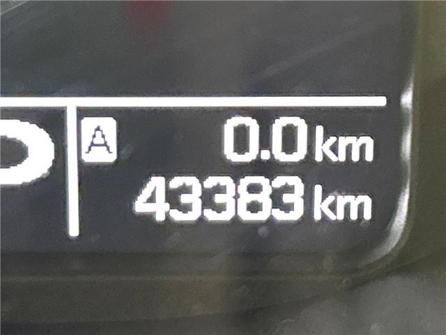 Suzuki SOLIO BANDIT 2017 6358702-2