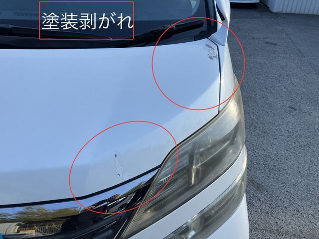 Toyota VELLFIRE 2011 6369467-10