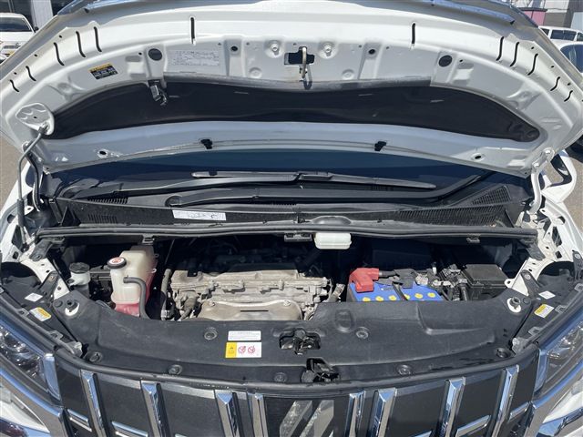 Toyota ALPHARD 2020 6394398-4