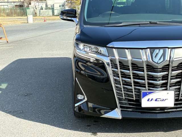 Toyota ALPHARD 2019 6398107-4