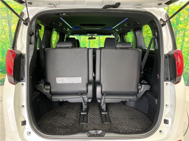Toyota ALPHARD 2017 6401871-6