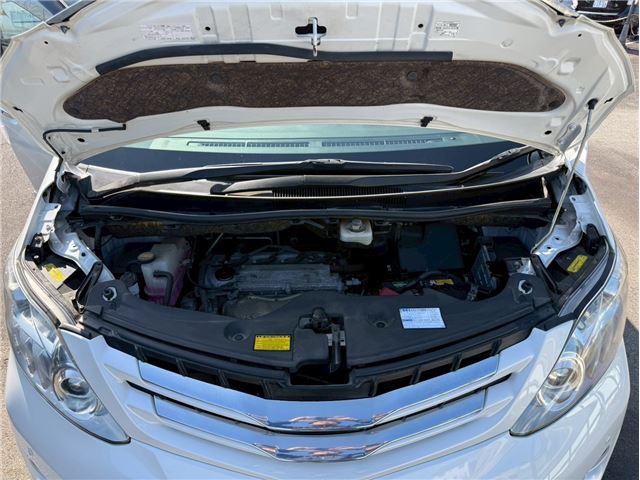 Toyota ALPHARD 2010 6406916-1