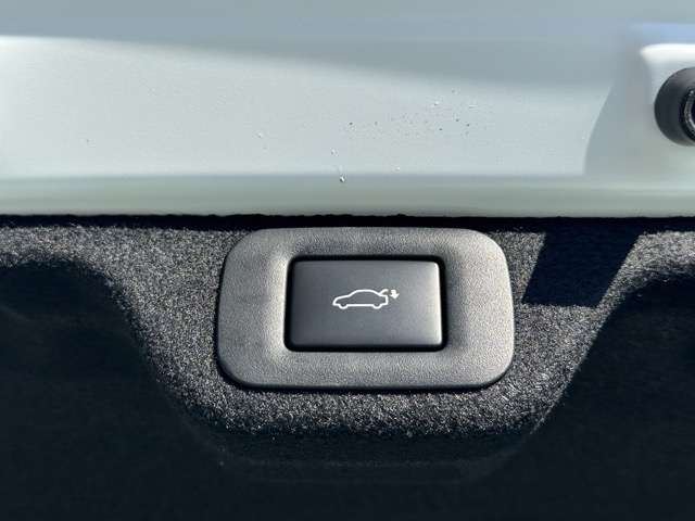 Toyota Crown Crossover 2024 6418539-9
