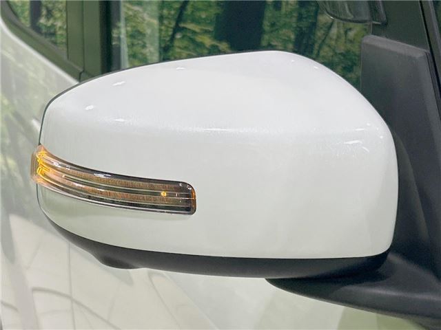 Nissan DAYZ ROOX 2014 6410290-7