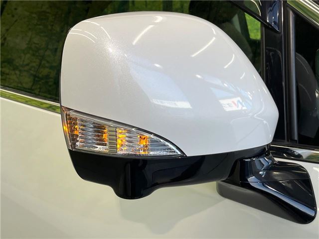 Nissan ELGRAND 2020 6410936-8