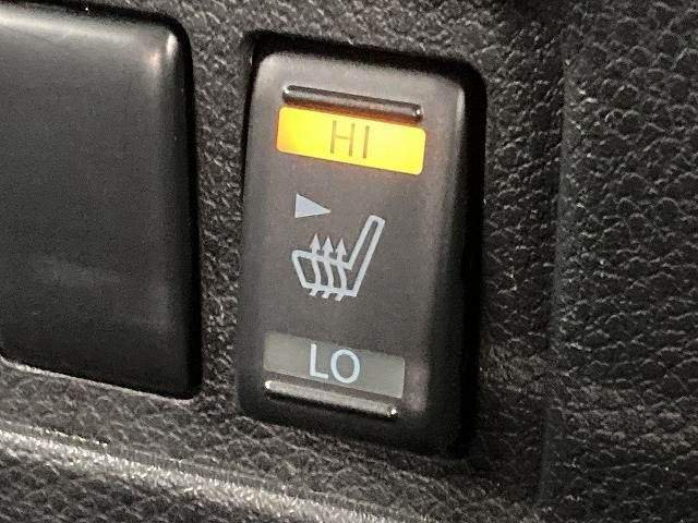 Nissan ELGRAND 2020 6411022-9