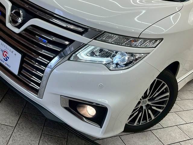 Nissan ELGRAND 2019 6411071-10