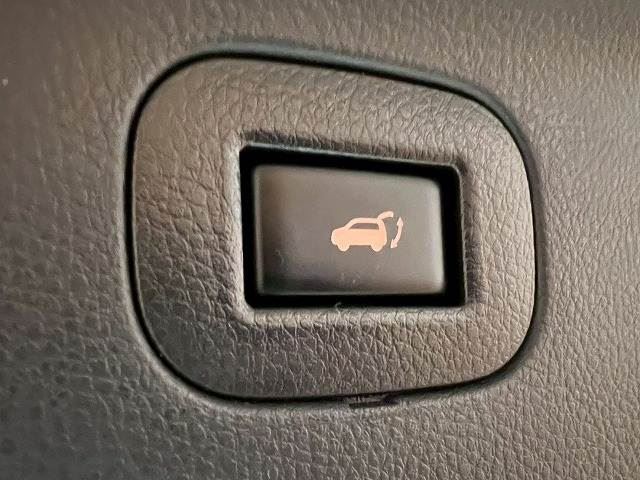 Nissan ELGRAND 2019 6411071-5