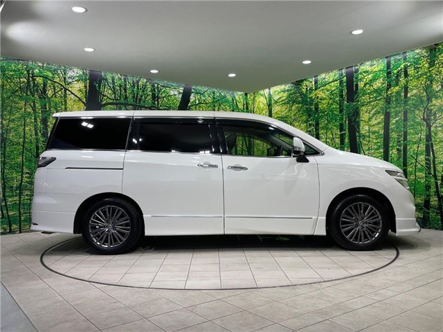 Nissan ELGRAND 2019 6411232-10
