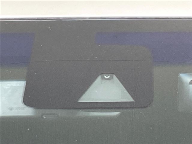 Nissan ELGRAND 2019 6411232-4