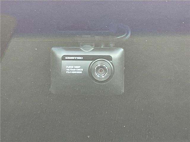 Nissan ELGRAND 2019 6411232-5