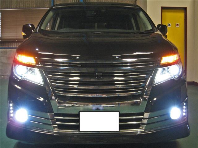 Nissan ELGRAND 2019 6411341-7