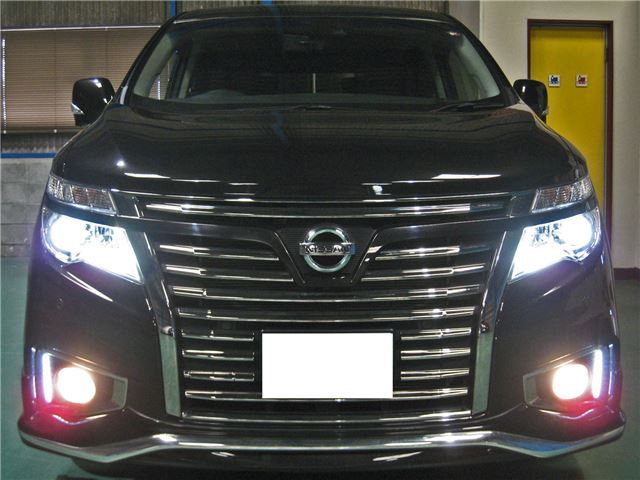 Nissan ELGRAND 2019 6411385-7