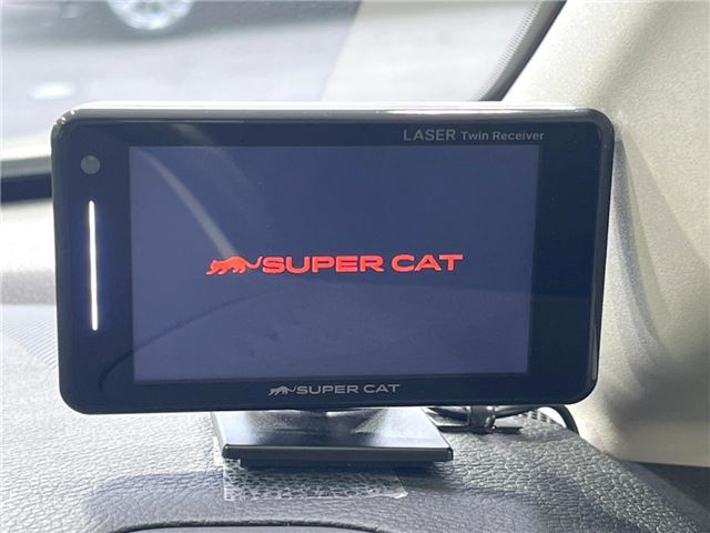 Nissan ELGRAND 2018 6411479-10