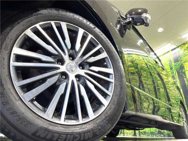 Nissan ELGRAND 2017 6411817-5