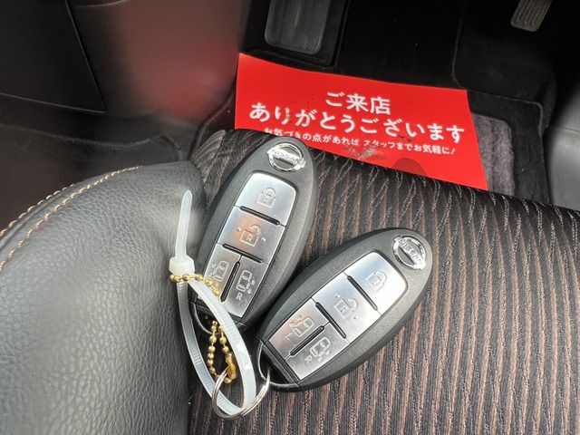 Nissan ELGRAND 2014 6412058-7