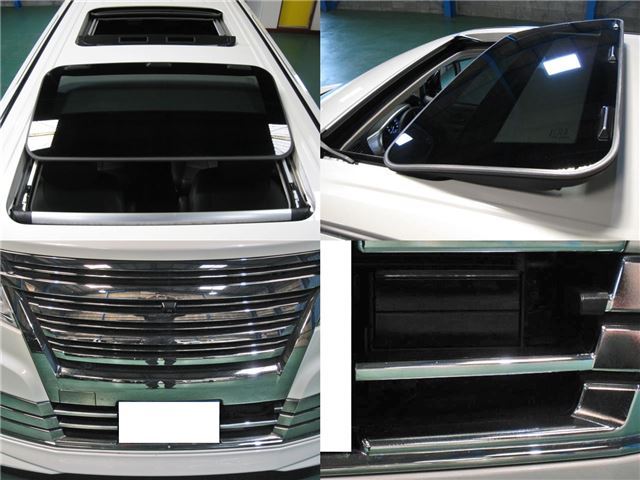 Nissan ELGRAND 2014 6412405-10