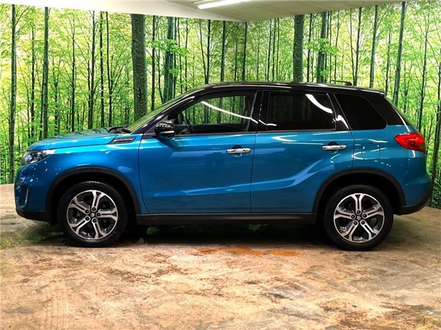 Suzuki ESCUDO 2015 6404461-9