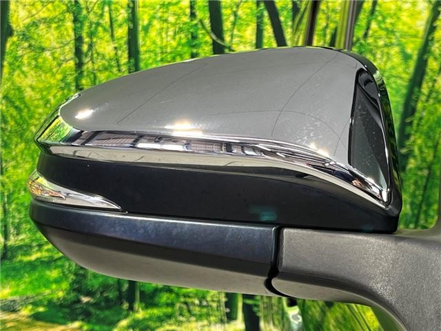 Toyota VOXY 2018 6398887-7