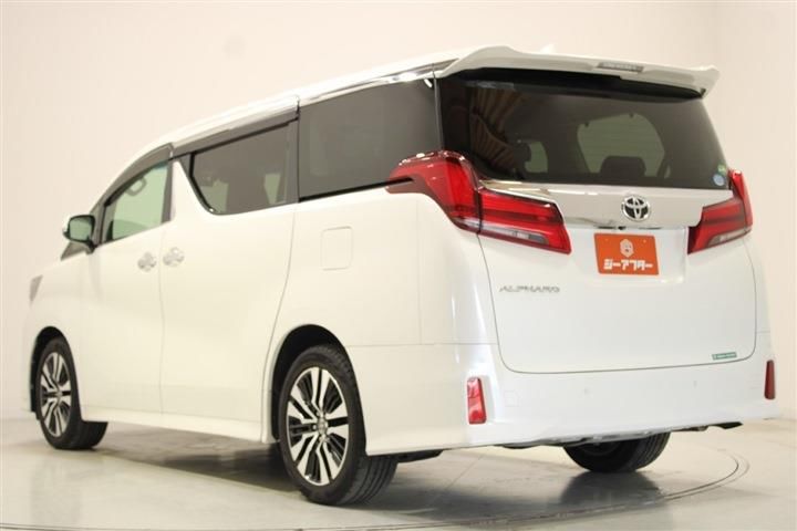 Toyota ALPHARD 2018 6476696-10