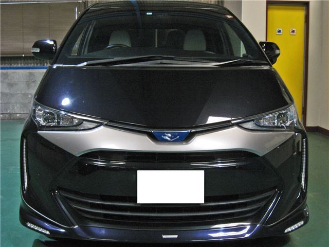 Toyota ESTIMA HYBRID 2019 6467825-7