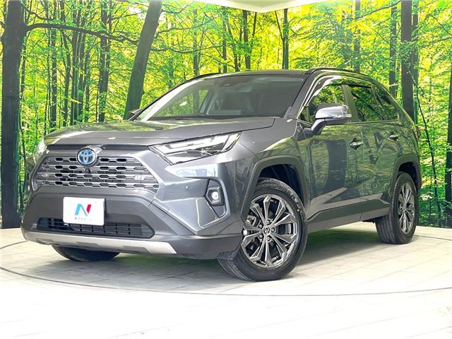 Toyota RAV4 2024 6438315-0