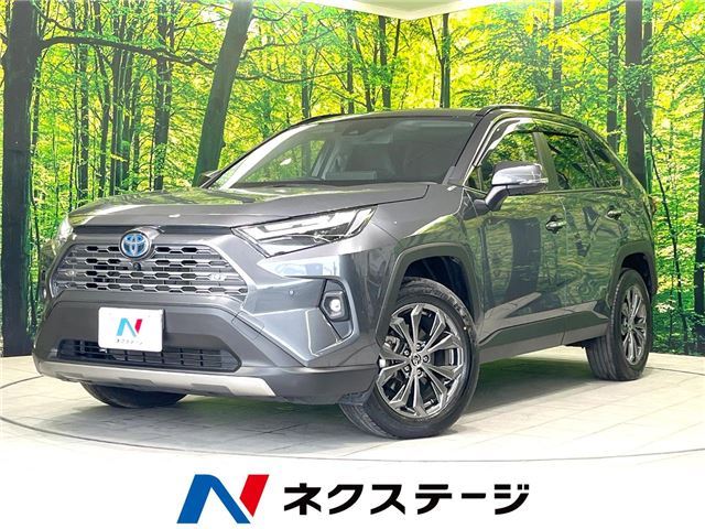Toyota RAV4 2024 6438315-3