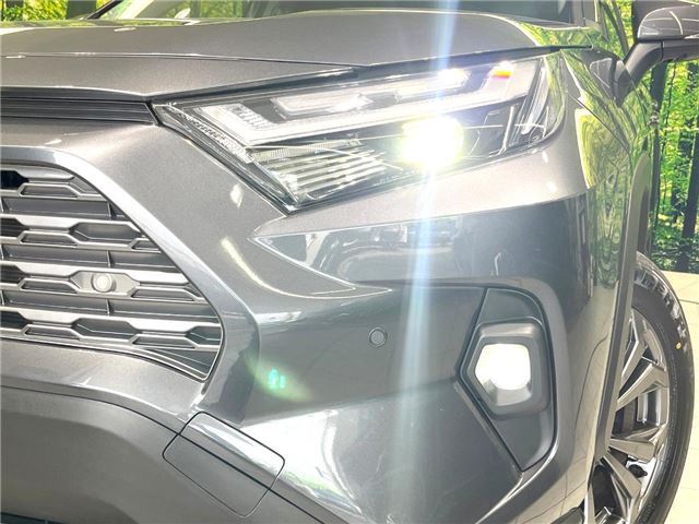 Toyota RAV4 2024 6438315-9