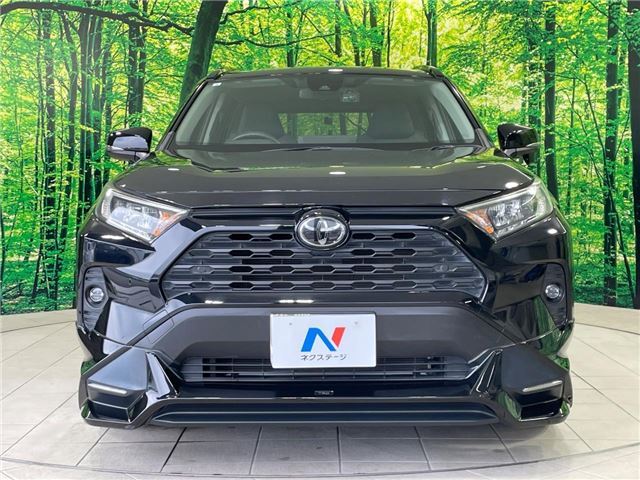 Toyota RAV4 2019 6461764-10