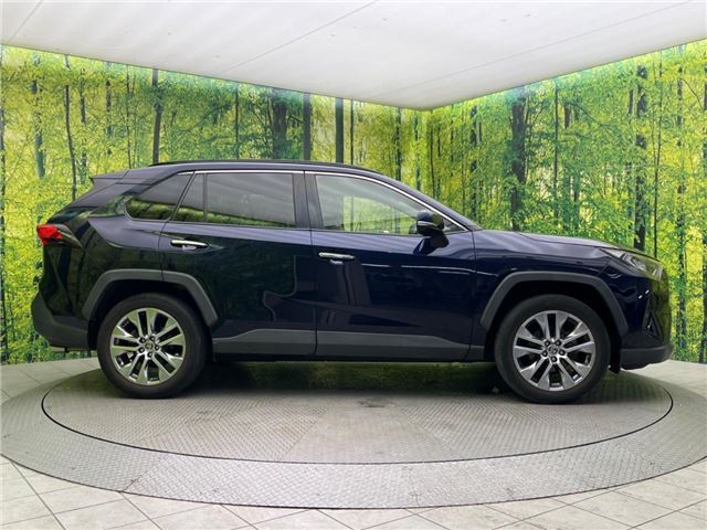Toyota RAV4 2019 6461941-10