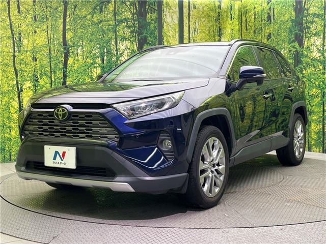 Toyota RAV4 2019 6461941-7