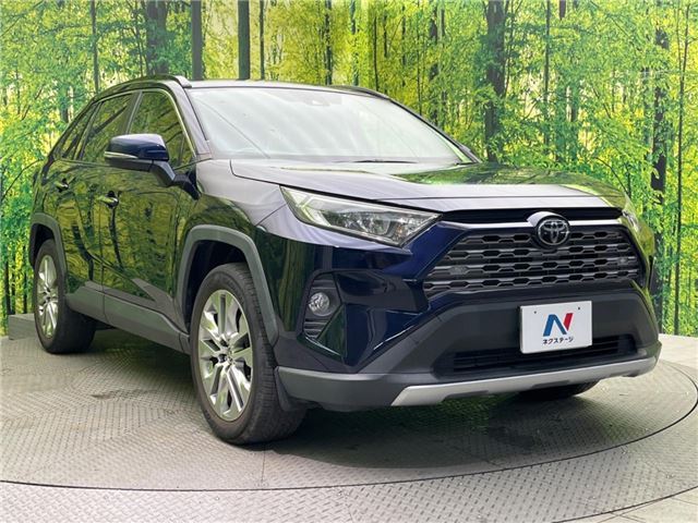 Toyota RAV4 2019 6461941-9