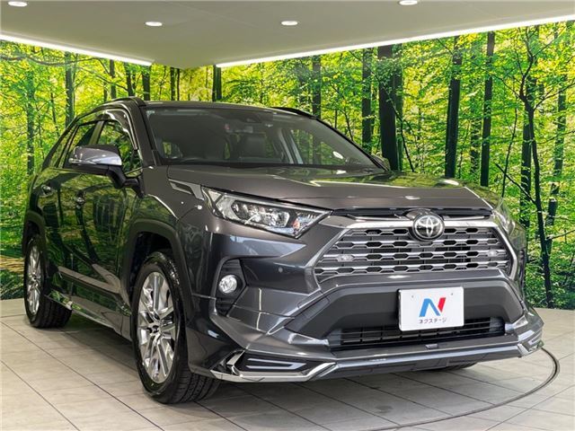 Toyota RAV4 2019 6463145-10