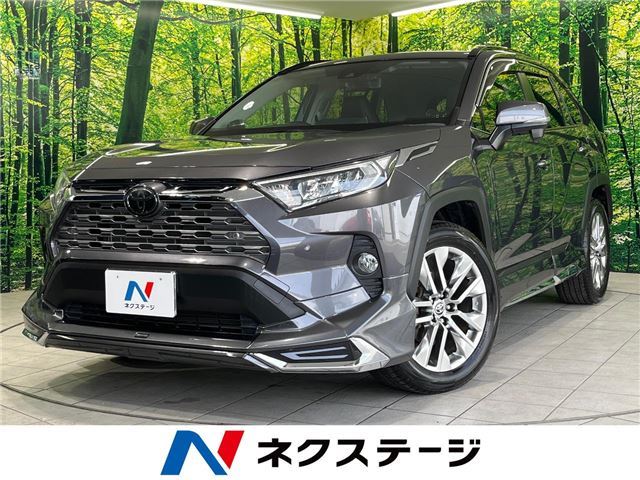 Toyota RAV4 2019 6463145-3