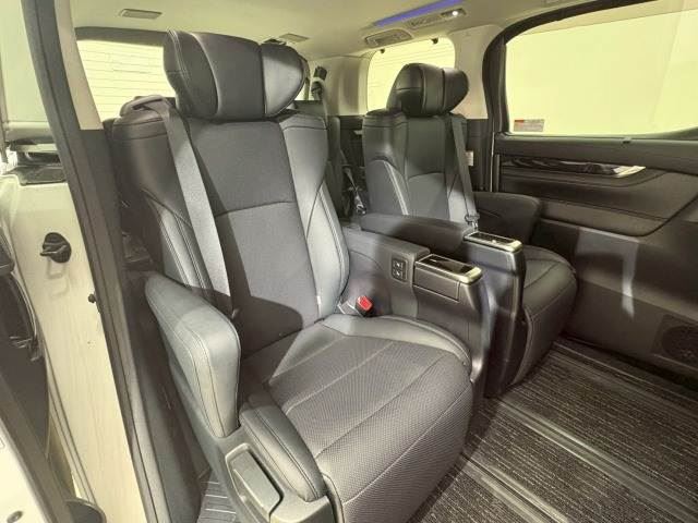 Toyota VELLFIRE 2019 6476802-10