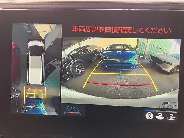 Toyota ALPHARD 2021 6516132-5