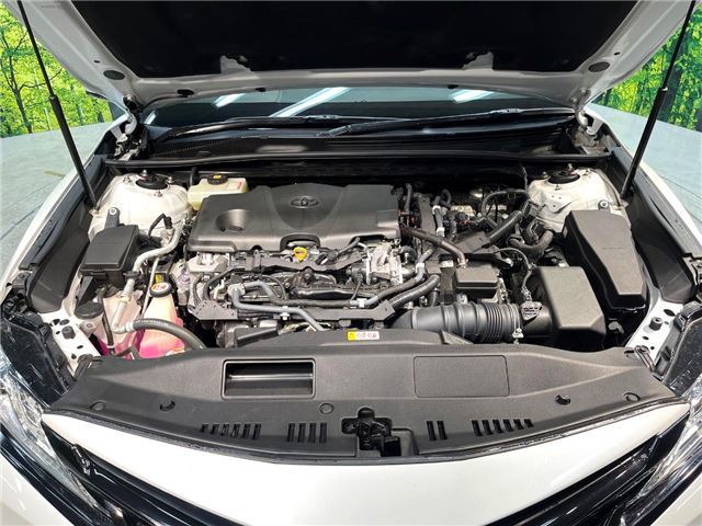 Toyota CAMRY 2019 6501255-5