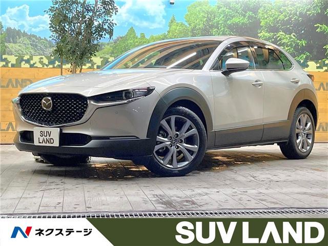 Mazda CX-30 2022 6492049-3