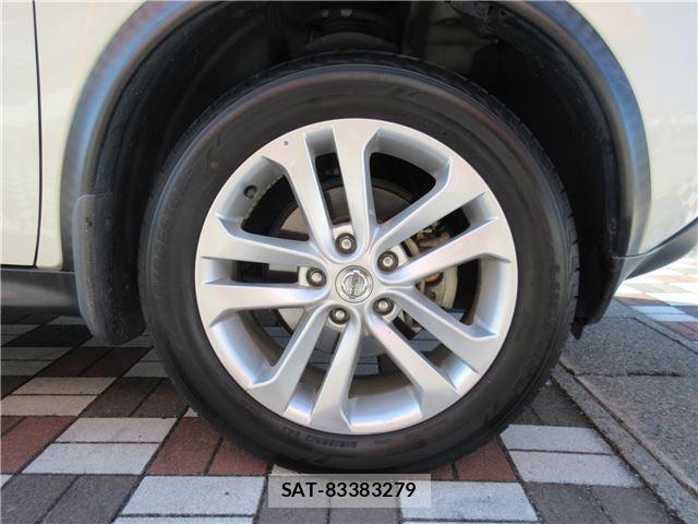 Nissan JUKE 2010 6498077-9
