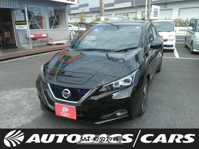 Nissan LEAF 2019 6500684-0