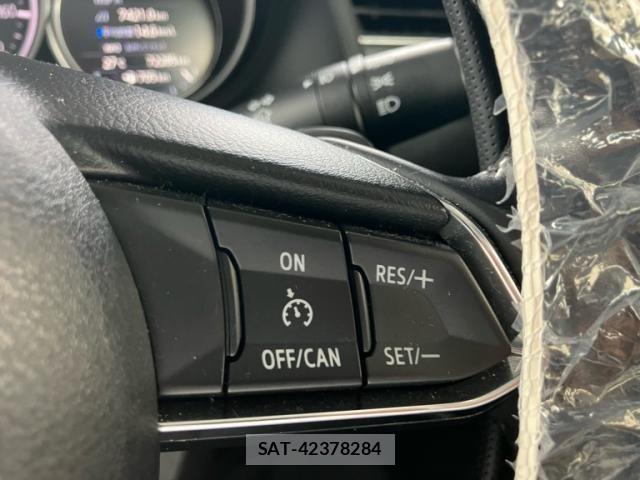 Mazda ATENZA WAGON 2018-05 7356830-20