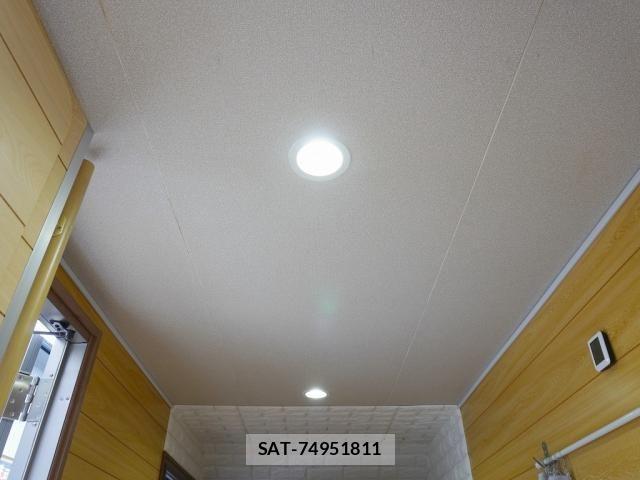 Nissan ATLAS 2017-02 1411336-11