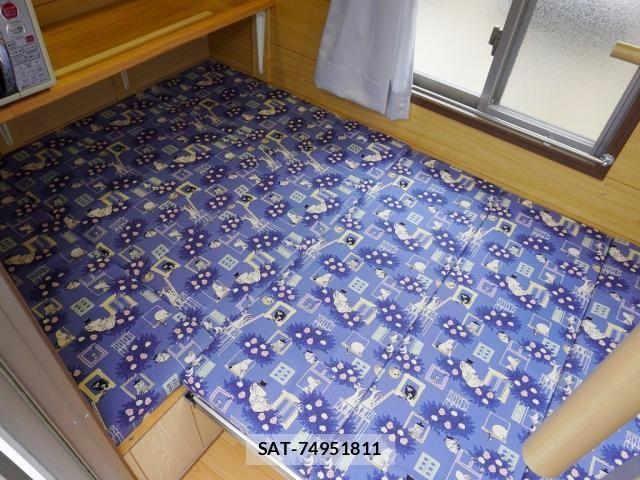 Nissan ATLAS 2017-02 1411336-13