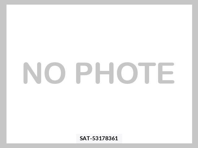 Nissan ATLAS 2020-03 7615019-5
