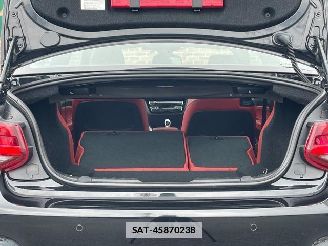 Bmw 2 SERIES 2018-01 7794873-13