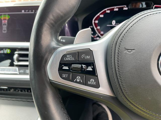 Bmw 3 SERIES 2019-06 7794871-12